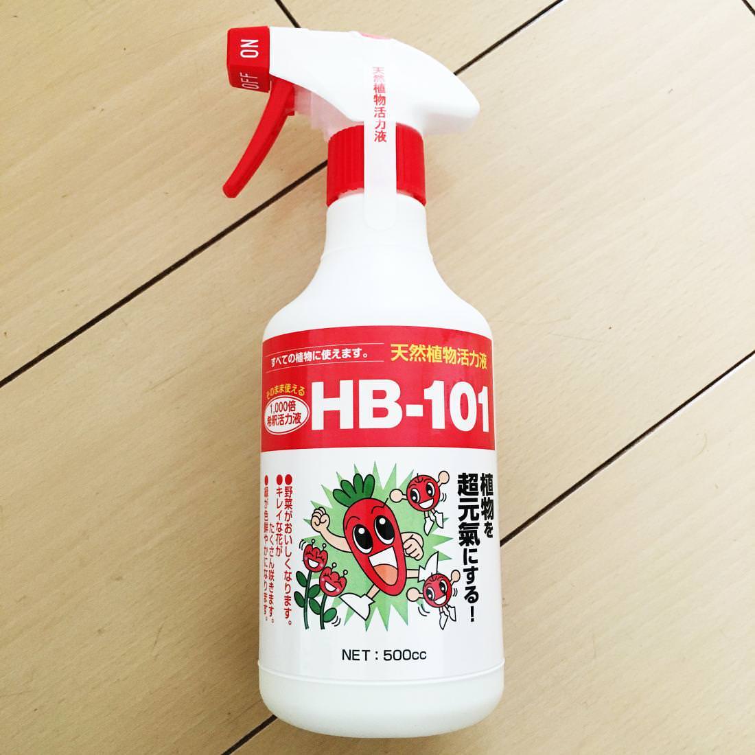 フローラ 植物活力剤 HB-101 希釈済み スプレー」を買ってみました。