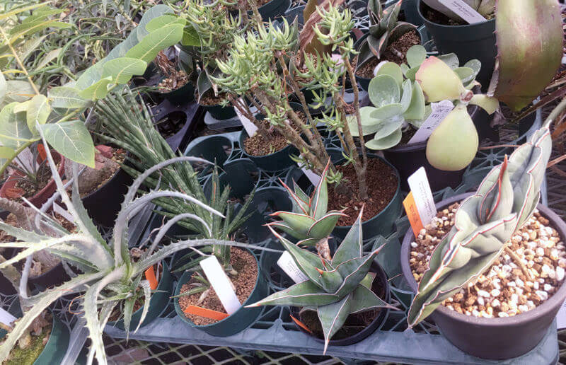 55955211643 CF3FD5ED A7EF 4889 AD6F 94908A03AAF9r