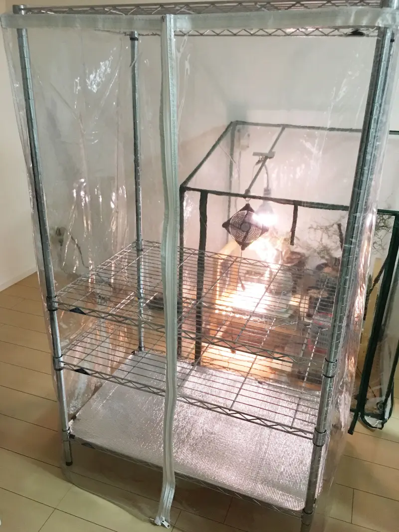 mayosiaki様……【温室ラック〈改〉】オーダー制作専用 パンタグラックハウス S /A(S): 温室｜青山ガーデン【公式】通販