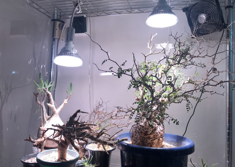 植物育成用『白色』ライト「LED PlantLight 18W（BARREL）」を買ってみ
