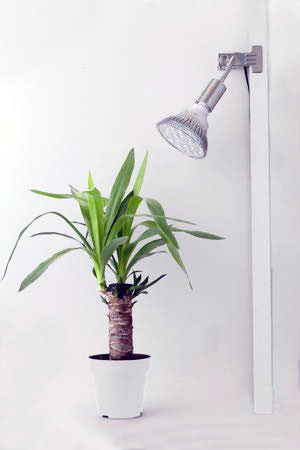 植物育成用『白色』ライト「LED PlantLight 18W（BARREL）」を買ってみ