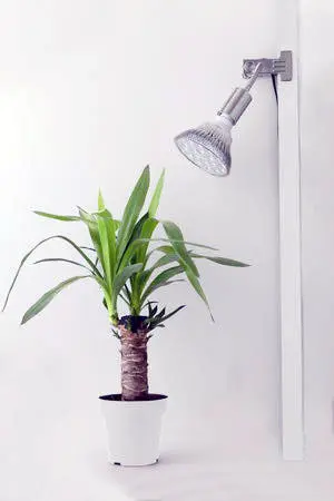 植物育成用『白色』ライト「LED PlantLight 18W（BARREL）」を買ってみ