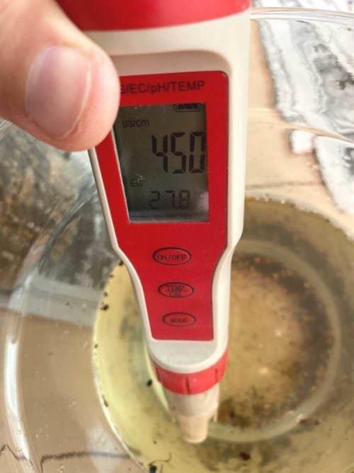 【〜60日目/vol.3】オペルクリカリア・パキプス現地株の発根管理|土耕編 23 IMG 5989r