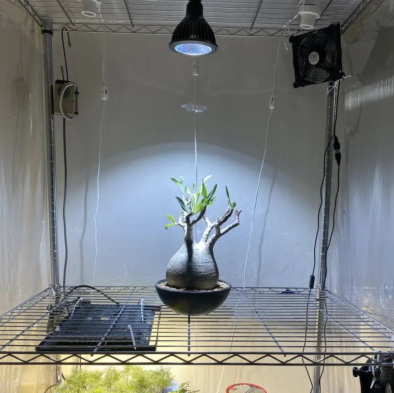 BARREL社 植物育成LEDライト3種比較「SUN-20W-W｜SUN-18W｜AMATERAS 20W」