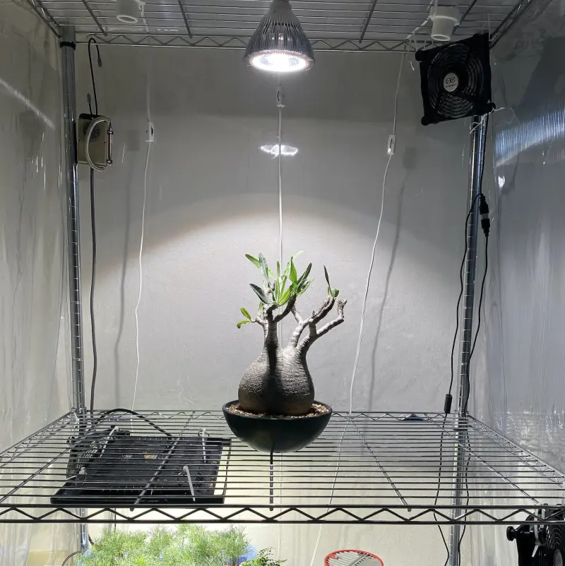 BARREL社 植物育成LEDライト3種比較「SUN-20W-W｜SUN-18W｜AMATERAS 20W」