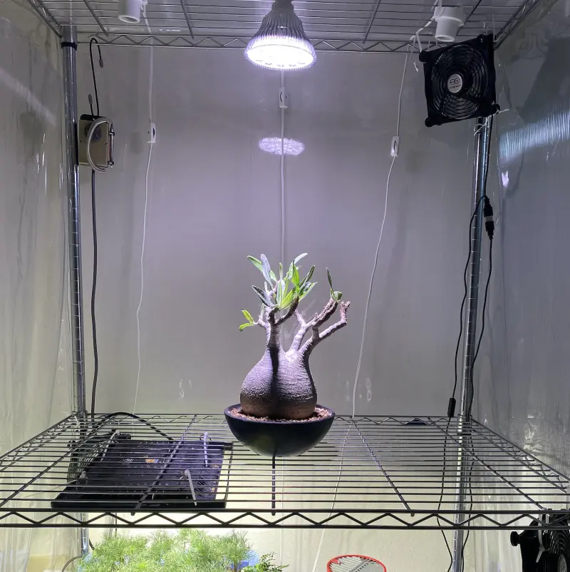 BARREL社 植物育成LEDライト3種比較「SUN-20W-W｜SUN-18W｜AMATERAS 20W」
