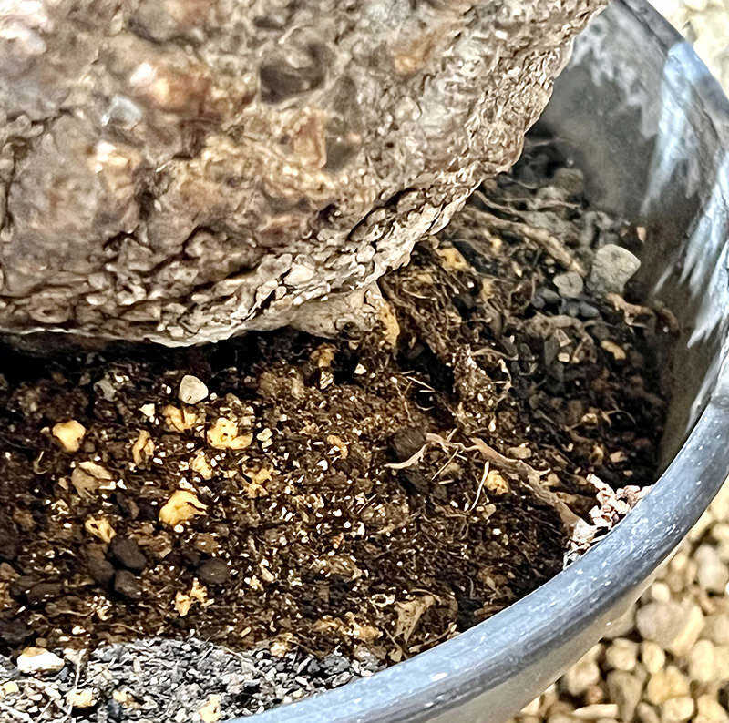 IMG 2183 e1635726358795