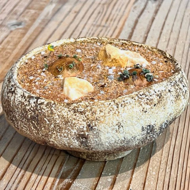 来月には満開🌼 ・ ・ #オトンナカカリオイデス #カカリオイデス #othonnacacalioides #cacalioides #othonna #塊根植物 #コーデックス #caudex #succulents #caudiciform #ボタニカル #botanical #ボタニカルライフ #gardening #ガーデニング #植物のある暮らし #botanicallife #植物 #plants #盆栽 #小品盆栽 #bonsai #bonsailovers #bonsailife #スローライフ #slowlife #山下寛兼 #ハビタットスタイル