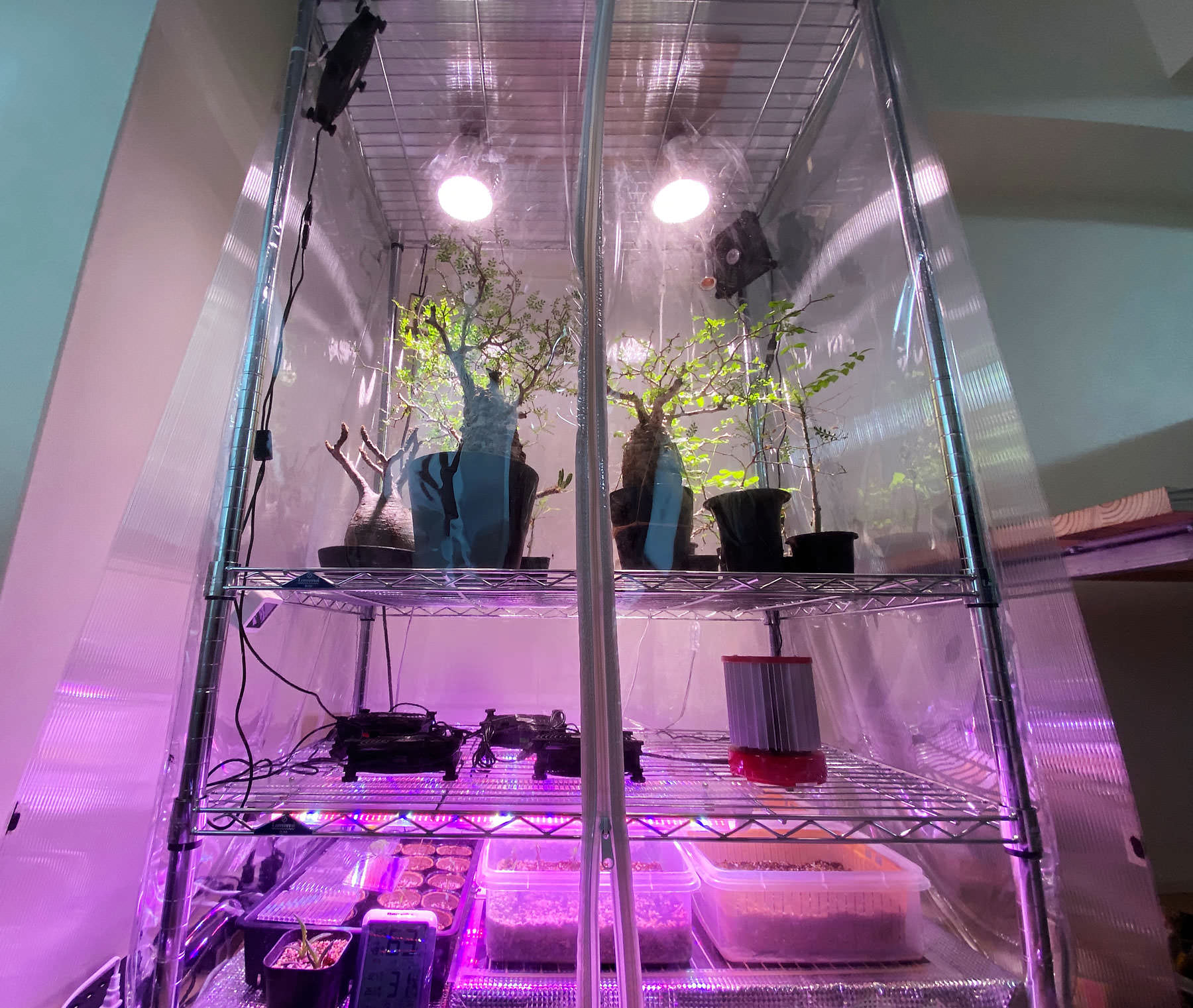 室内温室diy Ver 5 湿度の自動制御 近距離led照射 で植物の 徒長 を抑止する